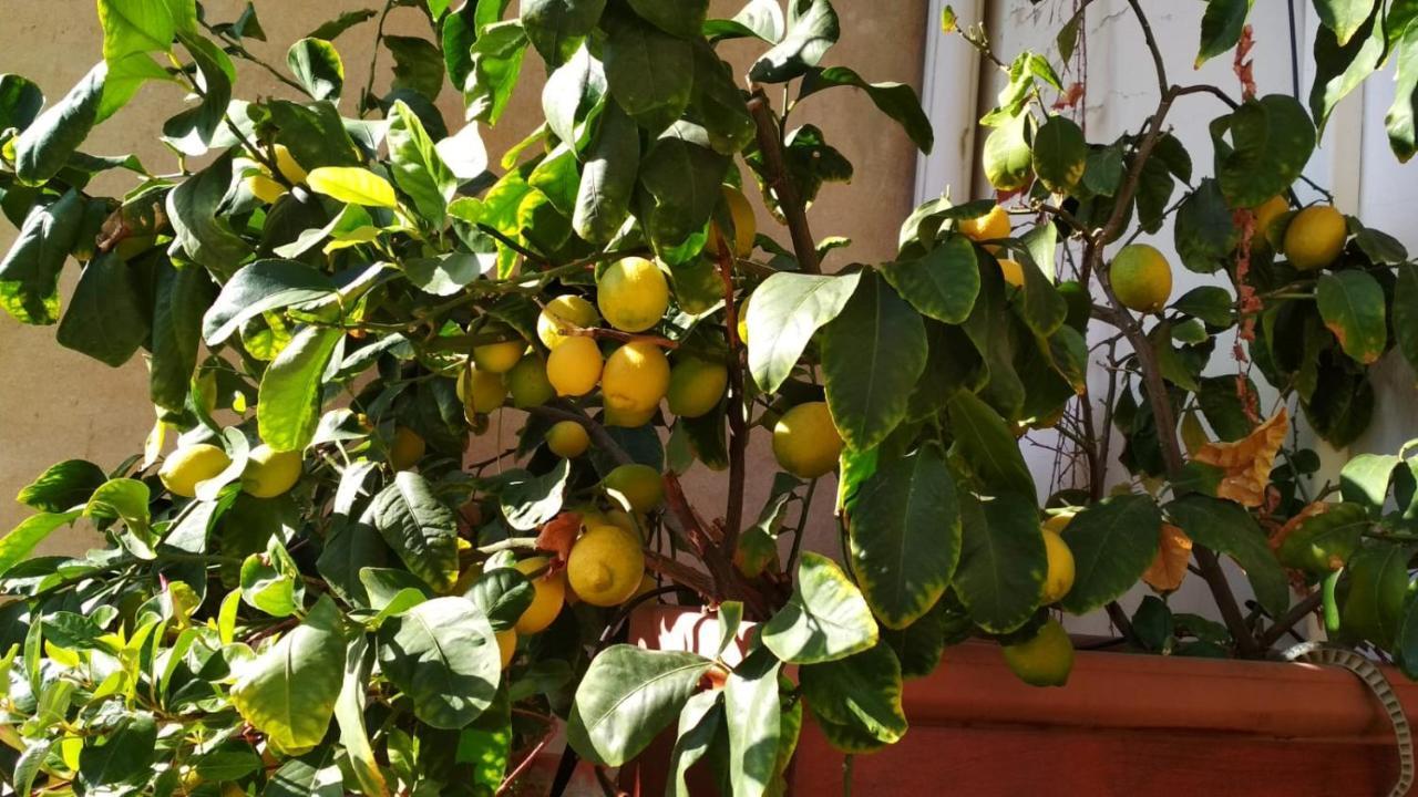 La Casa Dei Fiori Florença