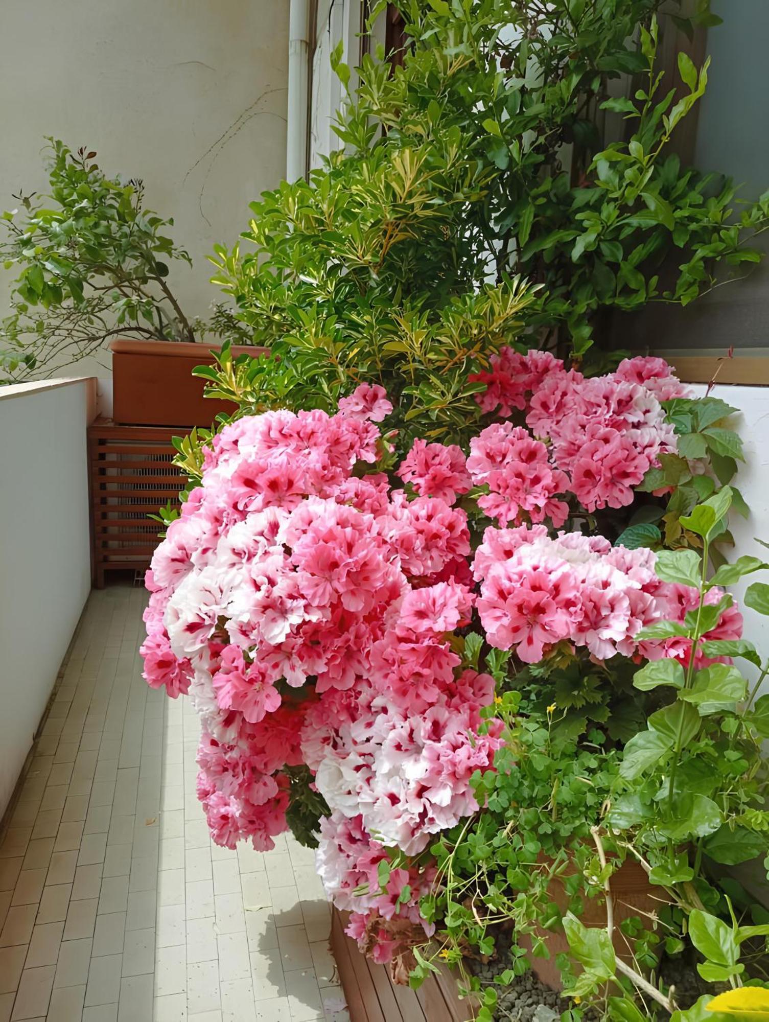 Apartamento La Casa Dei Fiori Florença